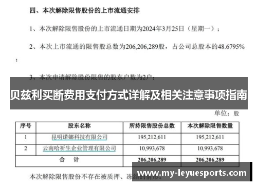 贝兹利买断费用支付方式详解及相关注意事项指南 贝兹利买断费用支付方式详解及相关注意事项指南