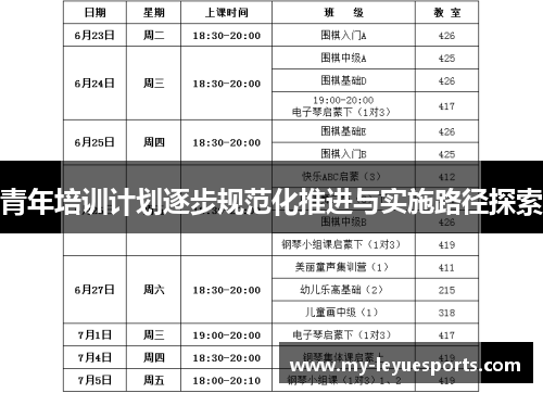 青年培训计划逐步规范化推进与实施路径探索