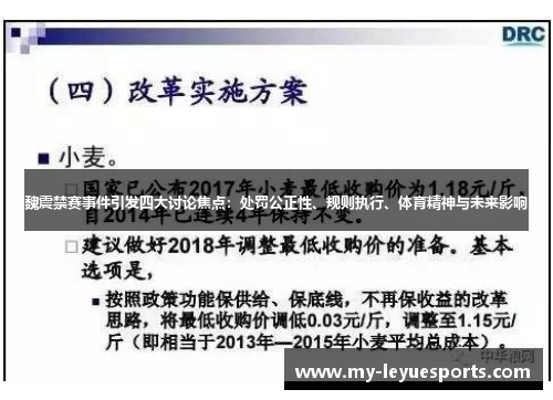 魏震禁赛事件引发四大讨论焦点：处罚公正性、规则执行、体育精神与未来影响